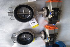 氣動(dòng)蝶閥的結構形式和特點(diǎn)？